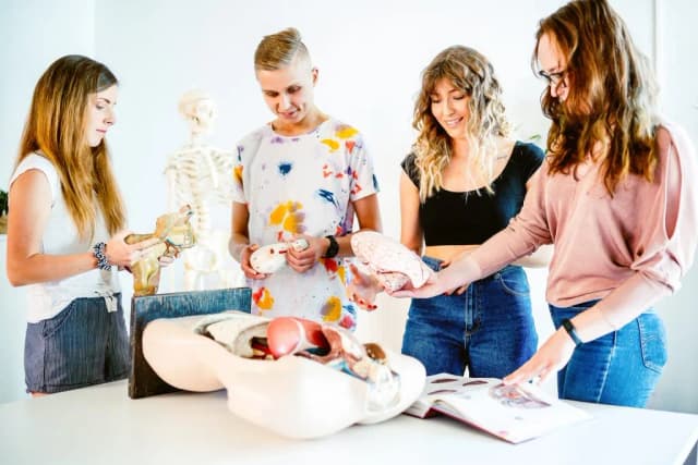 Fizjoterapia jakie przedmioty na studiach – co musisz wiedzieć? Fizjoterapia jakie przedmioty na studiach – co musisz wiedzieć?